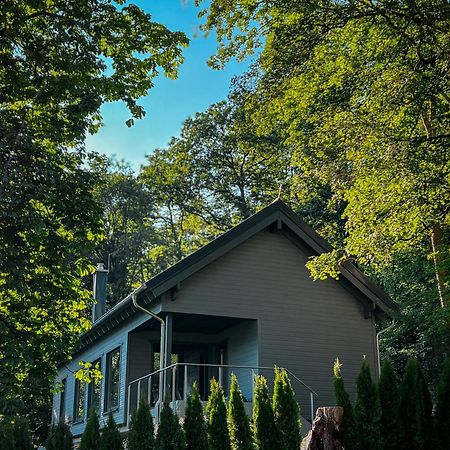 Hercynia Lodge Bad Lauterberg Eksteriør billede