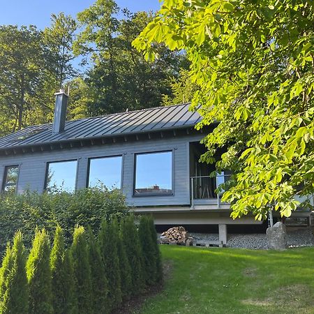 Hercynia Lodge Bad Lauterberg Eksteriør billede