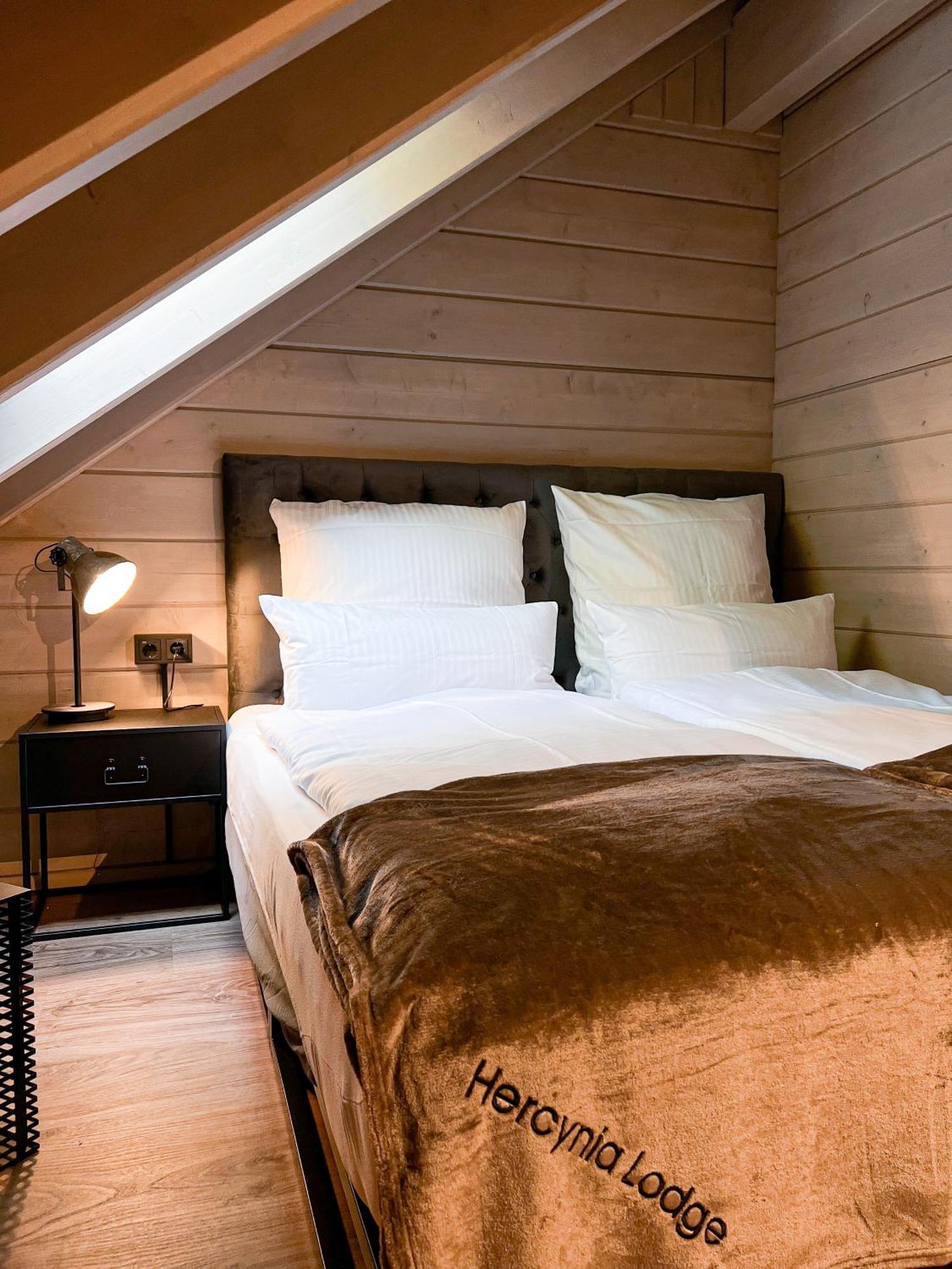 Hercynia Lodge Bad Lauterberg Eksteriør billede